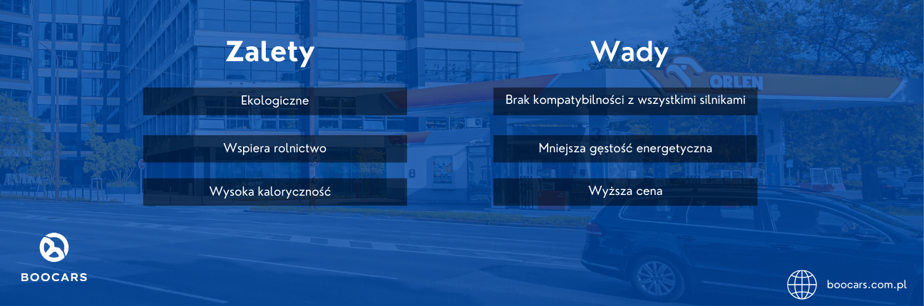 Paliwo E10: Czym jest i czy warto je wypróbować? (Baner 2)